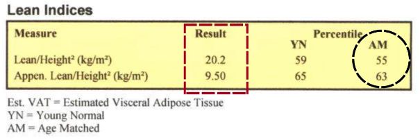 Image of Lean Indices Results